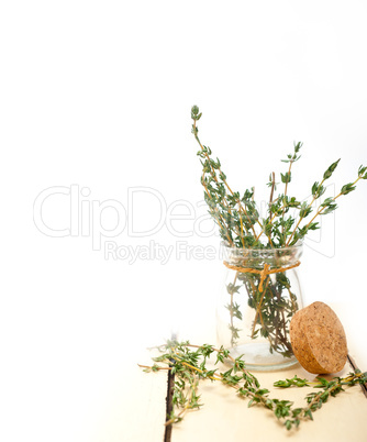 fresh thyme on a glass jar