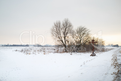 Scenic winter landscape