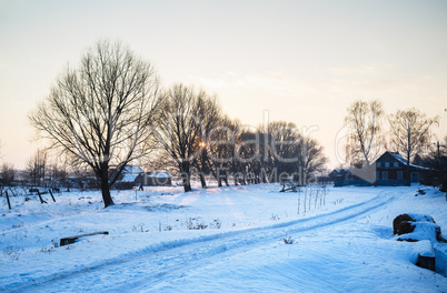 Winter rural landscape