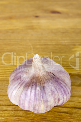 Several heads of garlic