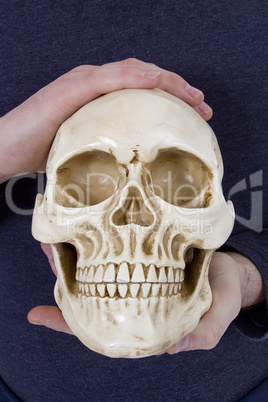Human skull in human hands