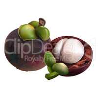 Mangosteen on white background