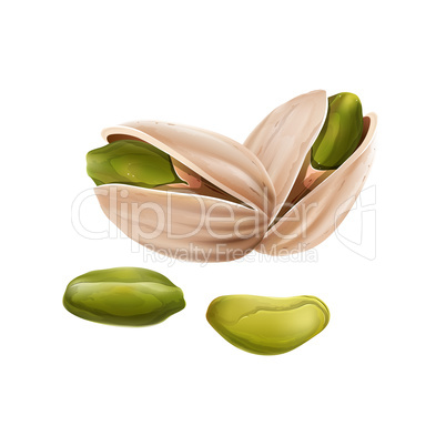 Pistachio nuts on white background