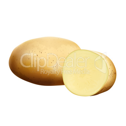 Potatoes on white background