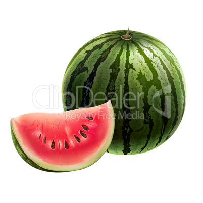 Watermelon on white background