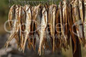 dried fish on a rope