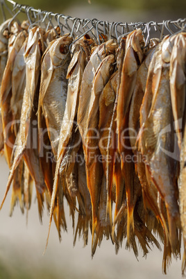 dried fish on a rope