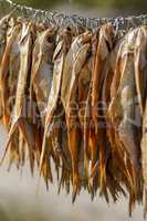 dried fish on a rope