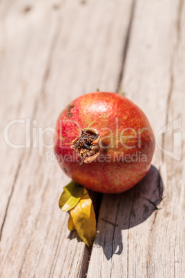 Fresh red organic pomegranate fruit Punica granatum