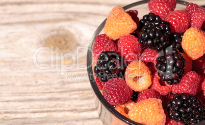 Organic golden and red raspberries mixed with blackberries
