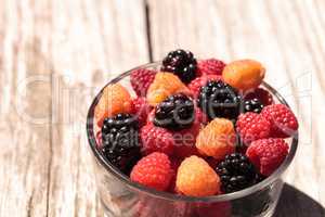 Organic golden and red raspberries mixed with blackberries