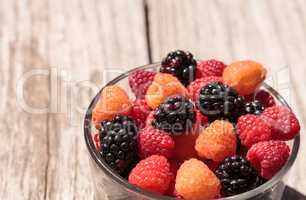 Organic golden and red raspberries mixed with blackberries