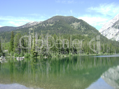Mountain Lake And Forest