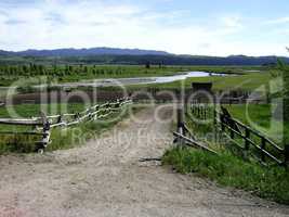 Dirt Road In Western Ranch