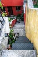 Garden courtyard with seating and plant life