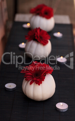 Red gerbera daisies in carved white Casper pumpkins