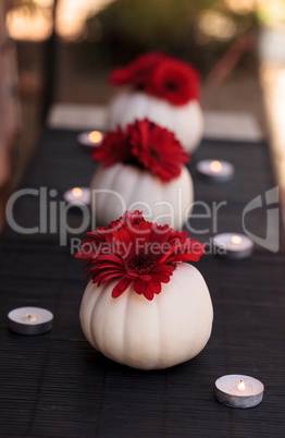 Red gerbera daisies in carved white Casper pumpkins