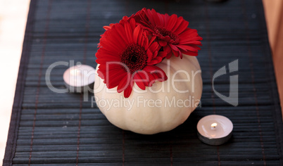 Red gerbera daisies in carved white Casper pumpkins