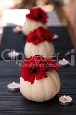 Red gerbera daisies in carved white Casper pumpkins