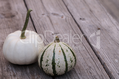 White Casper pumpkin next to a green and white gourd