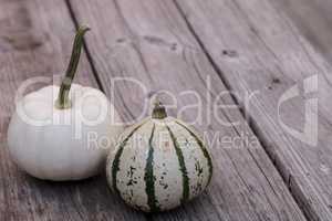 White Casper pumpkin next to a green and white gourd