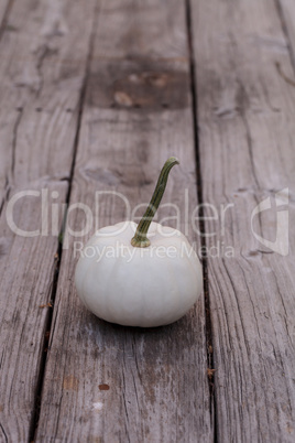 White Casper pumpkin