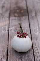 White Casper pumpkin with red berries