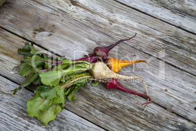 Red, orange and yellow beets