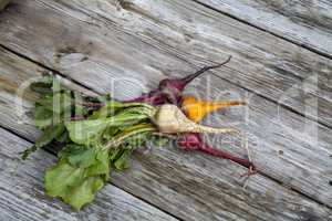 Red, orange and yellow beets