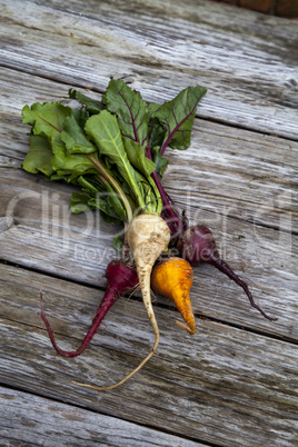 Red, orange and yellow beets