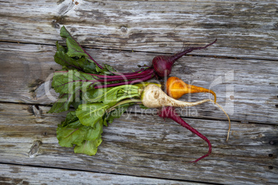 Red, orange and yellow beets