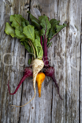 Red, orange and yellow beets