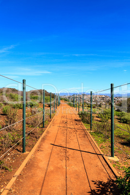 Hiking trail above Dana Point Harbor