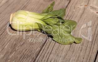 Organic green Chinese bok choy