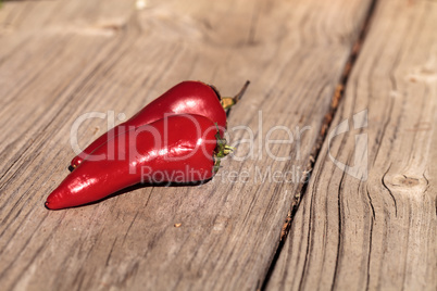 Organic red hot jalapeno pepper
