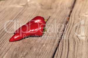 Organic red hot jalapeno pepper