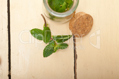 fresh mint leaves on a glass jar