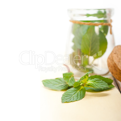 fresh mint leaves on a glass jar