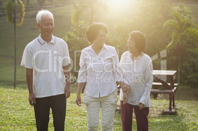 Group of Asian seniors walking at nature par