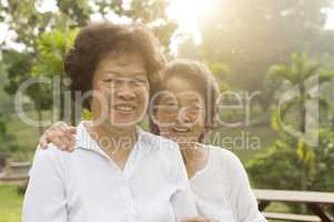 Asian seniors family having good time
