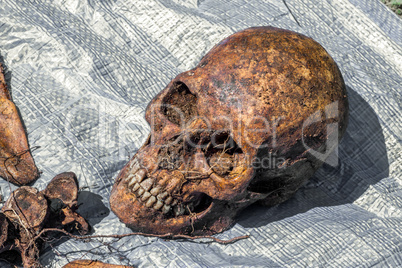 Skeleton remains of a buried unknown victim