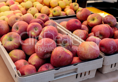 Bushel of green and red apples