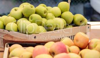 Bushel of green and red apples