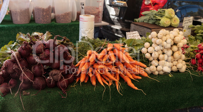 Red beets, orange carrots, and white and red radishes at an orga