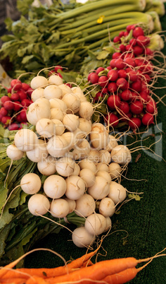 Red beets, orange carrots, and white and red radishes at an orga