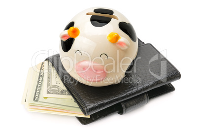 Wallet with dollars and piggy bank isolated on white background