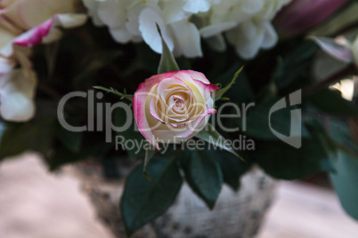 Wedding bouquet of white and pink flowers