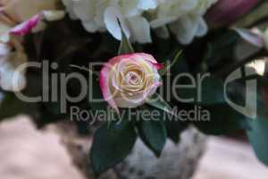 Wedding bouquet of white and pink flowers