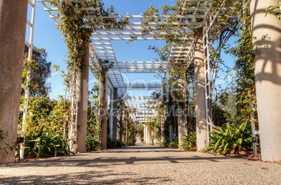 Rose garden trellis path