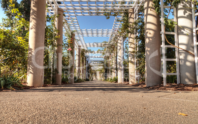 Rose garden trellis path